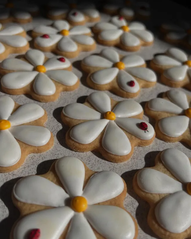 White daisy cookies with yellow centres