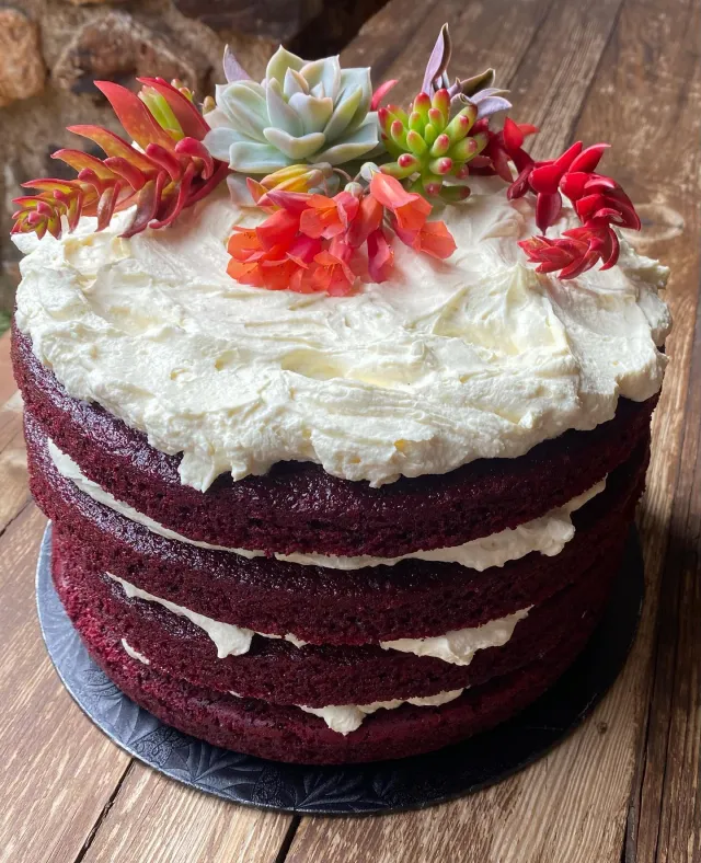 Four-layer red velvet naked cake topped with succulents and red flowers